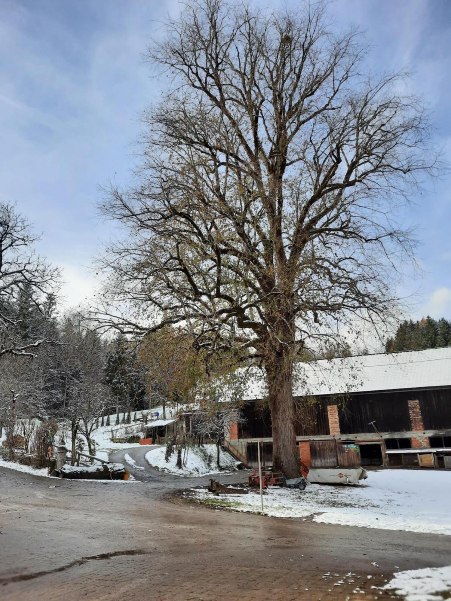Ferienhof Unterkotgraben Spital Am Pyhrn Exterior foto